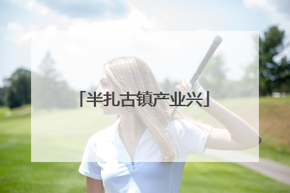 半扎古镇产业兴