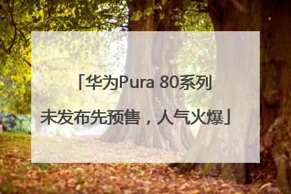 华为Pura 80系列未发布先预售，人气火爆