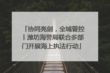 协同亮剑，全域管控丨潍坊海警局联合多部门开展海上执法行动