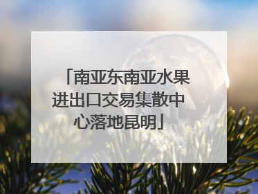 南亚东南亚水果进出口交易集散中心落地昆明