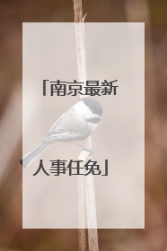 南京最新人事任免