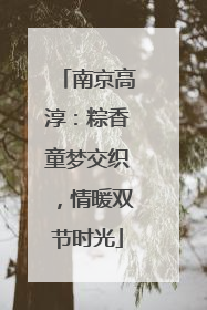 南京高淳：粽香童梦交织，情暖双节时光