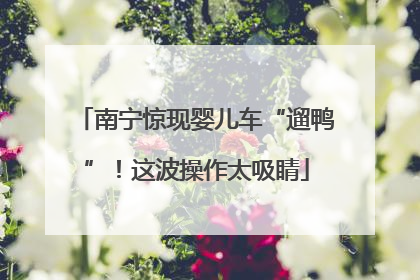 南宁惊现婴儿车“遛鸭”！这波操作太吸睛