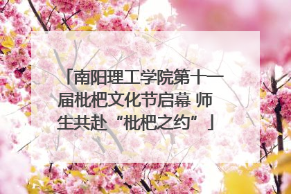 南阳理工学院第十一届枇杷文化节启幕 师生共赴“枇杷之约”