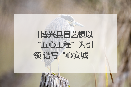 博兴县吕艺镇以“五心工程”为引领 谱写“心安城市”建设新篇章