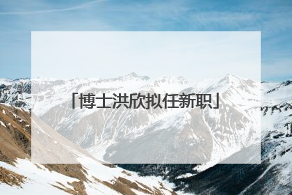 博士洪欣拟任新职