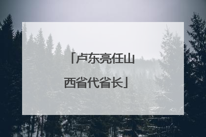 卢东亮任山西省代省长