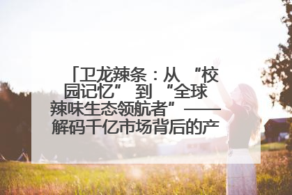 卫龙辣条：从 “校园记忆” 到 “全球辣味生态领航者”——解码千亿市场背后的产品创新与全链路破圈