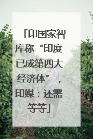 印国家智库称“印度已成第四大经济体”，印媒：还需等等