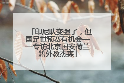 印尼队变强了，但国足世预赛有机会——专访北京国安荷兰籍外教杰森