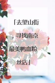 去望山街，寻找南京最美鸭血粉丝店