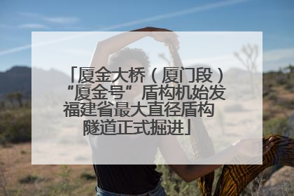 厦金大桥（厦门段）“厦金号”盾构机始发 福建省最大直径盾构隧道正式掘进