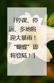 停课、停运、多地将迎大暴雨！“蝴蝶”即将登陆！