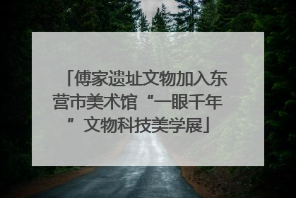 傅家遗址文物加入东营市美术馆“一眼千年”文物科技美学展