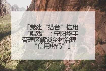 党建“搭台”信用“唱戏”：宁阳华丰管理区解锁乡村治理“信用密码”