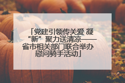 党建引领传关爱 凝“新”聚力送清凉——省市相关部门联合举办慰问骑手活动