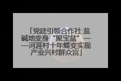 党建引领合作社 盐碱地变身“聚宝盆”——河涯村十年蝶变实现产业兴村群众富