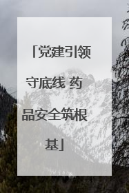 党建引领守底线 药品安全筑根基