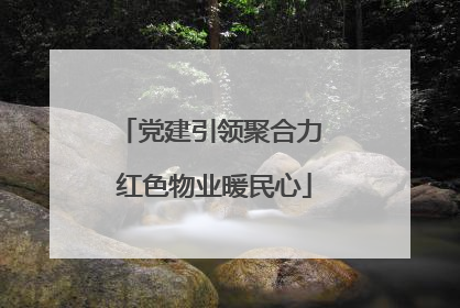 党建引领聚合力 红色物业暖民心