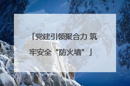 党建引领聚合力 筑牢安全“防火墙”