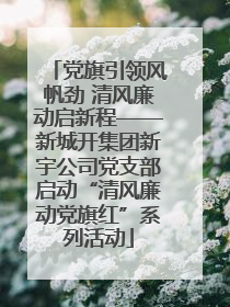 党旗引领风帆劲 清风廉动启新程——新城开集团新宇公司党支部启动“清风廉动党旗红”系列活动