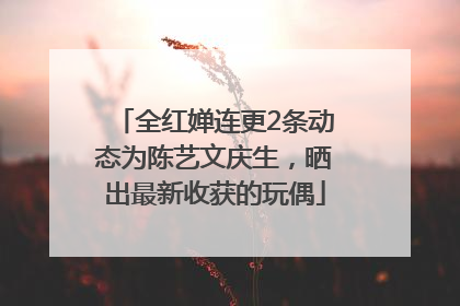 全红婵连更2条动态为陈艺文庆生，晒出最新收获的玩偶