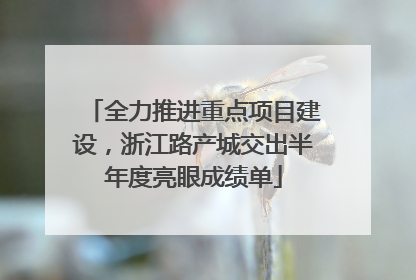 全力推进重点项目建设，浙江路产城交出半年度亮眼成绩单