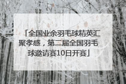 全国业余羽毛球精英汇聚孝感，第二届全国羽毛球邀请赛10日开赛