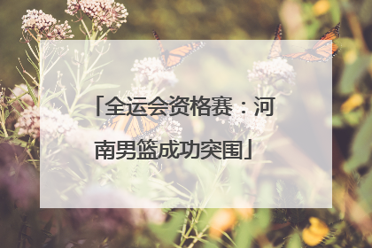 全运会资格赛：河南男篮成功突围