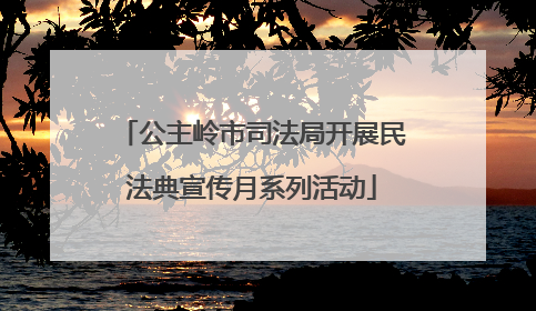 公主岭市司法局开展民法典宣传月系列活动