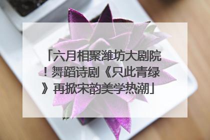 六月相聚潍坊大剧院！舞蹈诗剧《只此青绿》再掀宋韵美学热潮