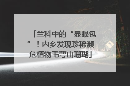 兰科中的“显眼包”！内乡发现珍稀濒危植物毛萼山珊瑚