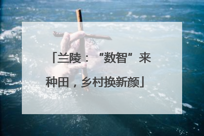 兰陵：“数智”来种田，乡村换新颜
