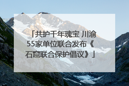 共护千年瑰宝 川渝55家单位联合发布《石窟联合保护倡议》