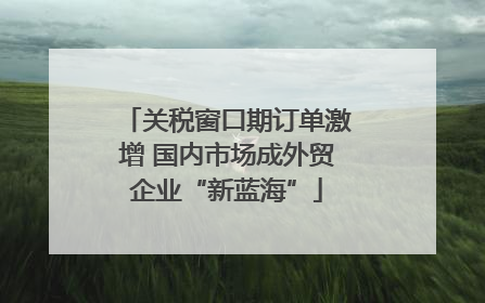 关税窗口期订单激增 国内市场成外贸企业“新蓝海”