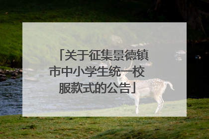关于征集景德镇市中小学生统一校服款式的公告
