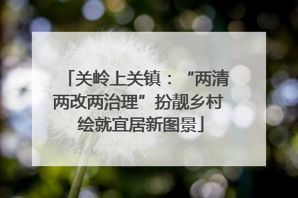 关岭上关镇：“两清两改两治理”扮靓乡村 绘就宜居新图景