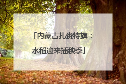 内蒙古扎赉特旗：水稻迎来插秧季