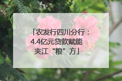 农发行四川分行：4.4亿元贷款赋能夹江“粮”方