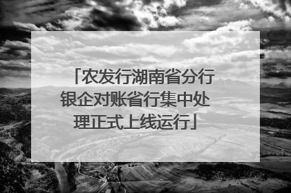 农发行湖南省分行银企对账省行集中处理正式上线运行