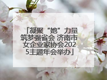 凝聚“她”力量 筑梦强省会 济南市女企业家协会2025主题年会举办