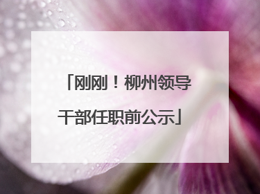 刚刚！柳州领导干部任职前公示
