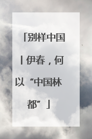 别样中国丨伊春，何以“中国林都”