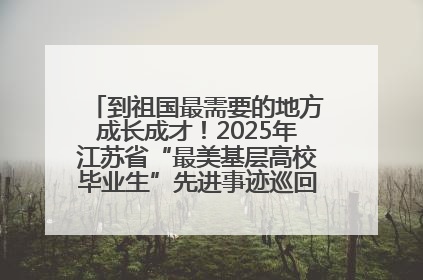 到祖国最需要的地方成长成才！2025年江苏省“最美基层高校毕业生”先进事迹巡回宣讲会在宁启动