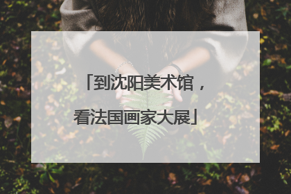 到沈阳美术馆，看法国画家大展