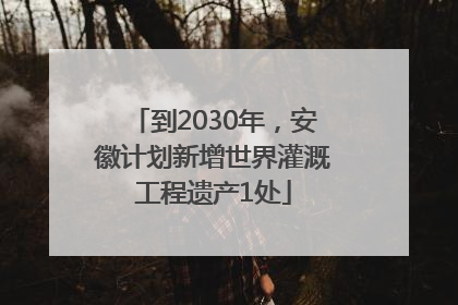 到2030年，安徽计划新增世界灌溉工程遗产1处
