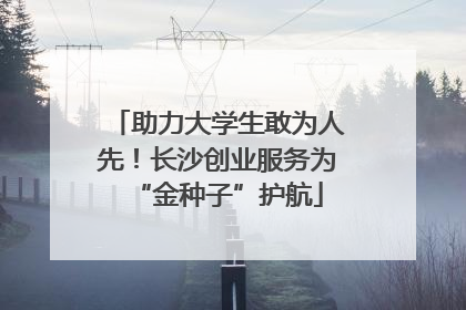 助力大学生敢为人先！长沙创业服务为“金种子”护航