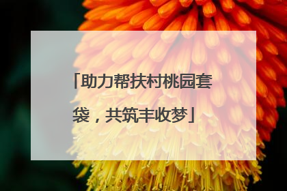 助力帮扶村桃园套袋，共筑丰收梦