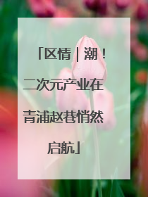 区情｜潮！二次元产业在青浦赵巷悄然启航