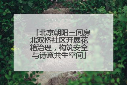 北京朝阳三间房北双桥社区开展花箱治理，构筑安全与诗意共生空间